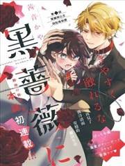 漫画《Fate/stay night》海报